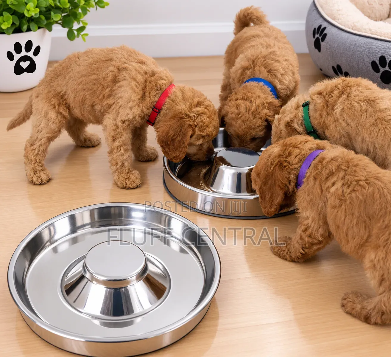 Puppy Stainless Bowl(34cm)