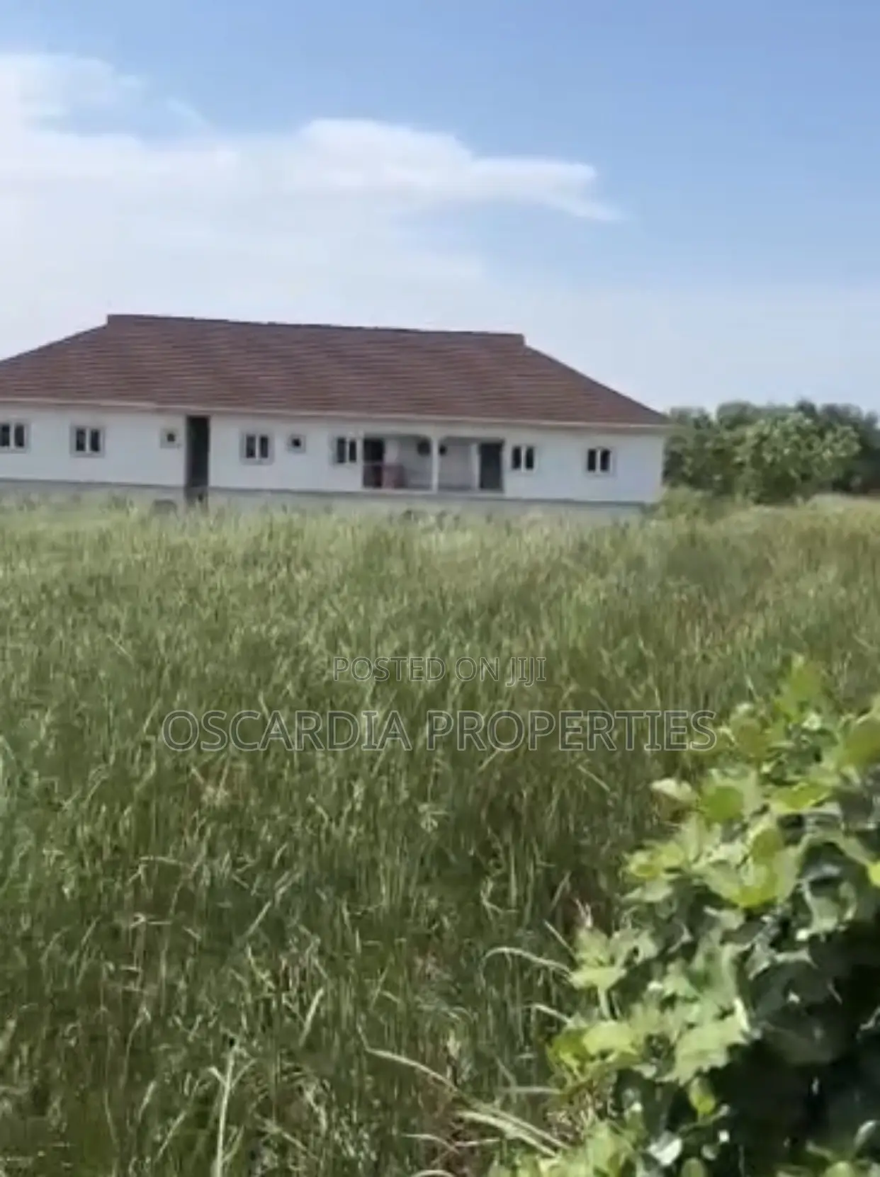 For SALE, 10 PLOTS OF LAND Behind Sky Mall, FarmVille Estate