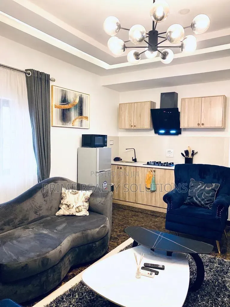 Furnished Mini Flat in Lekki Phase 1 for rent