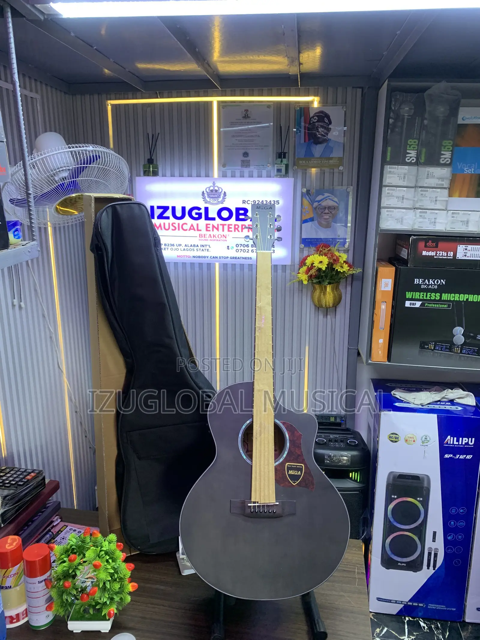 Mega Semi Accoustic Guitar