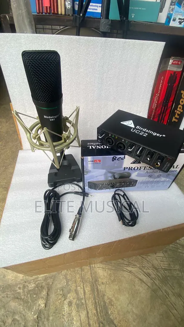 Birdsinger 2i2 Sound Card and U-87 Condenser Mic