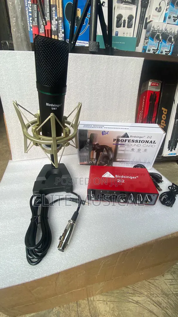 Birdsinger 2i2 Sound Card and U-87 Condenser Mic