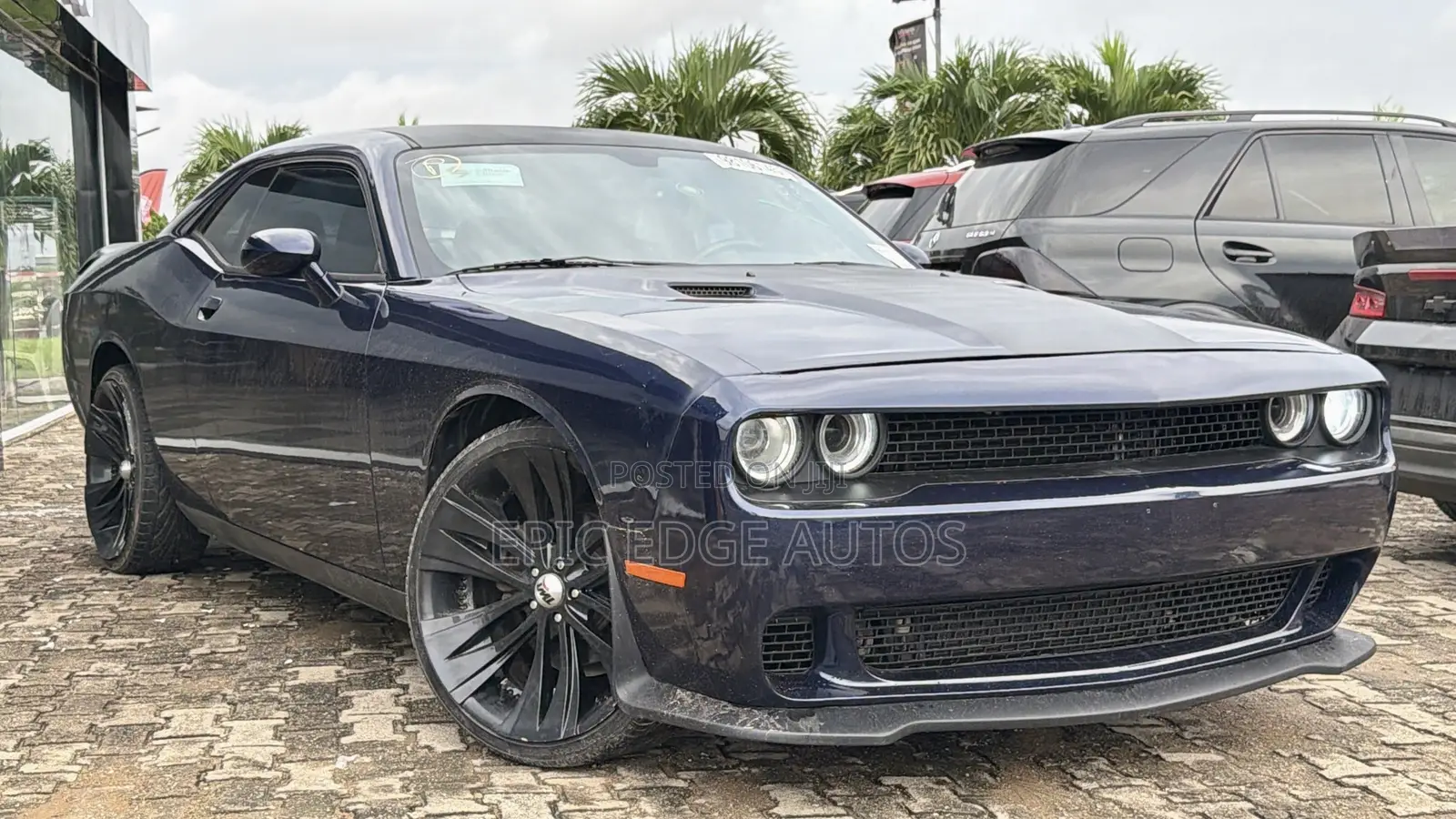 Dodge Challenger SXT 2dr Coupe (3.6L 6cyl 5A) 2014 Blue