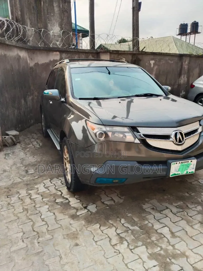 Acura MDX 2009 Gray
