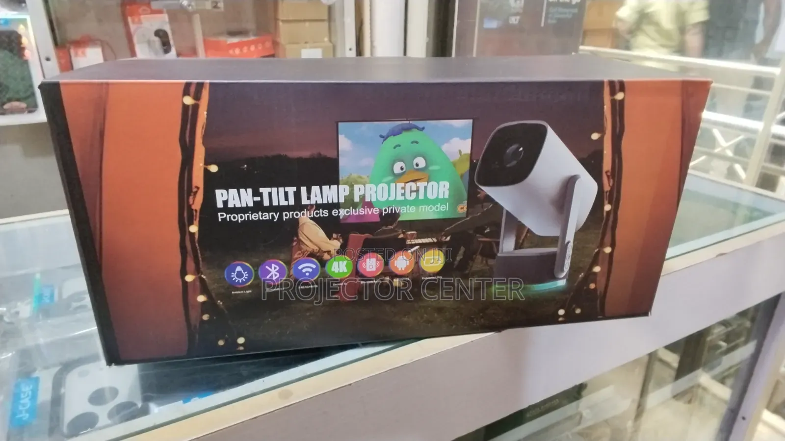Rechargeable Pan-Tilt Lamp Projector