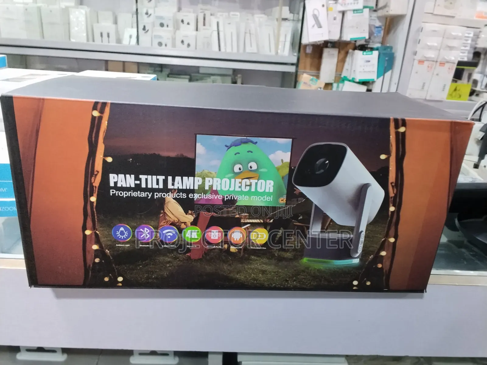 Rechargeable Pan-Tilt Lamp Projector