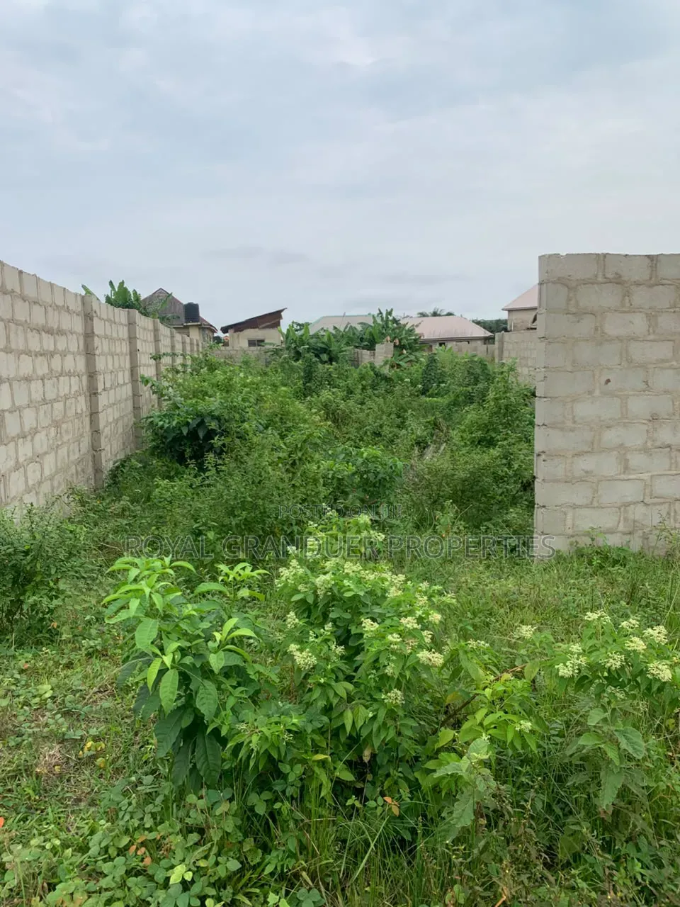 Perfect Half Plot of Land for Sale
