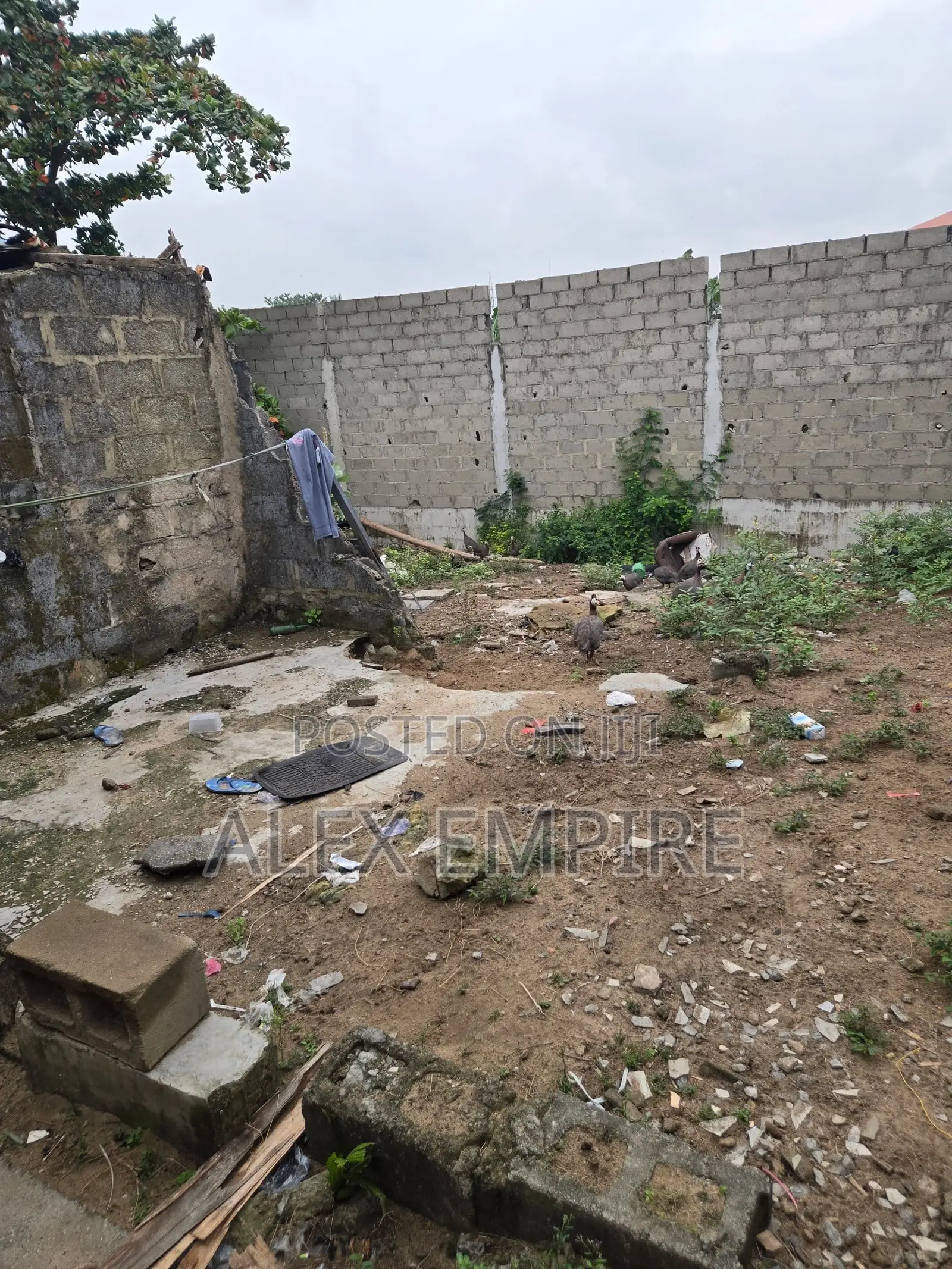 2000sqm Waterfront Dry Land for Lease in Amuwo