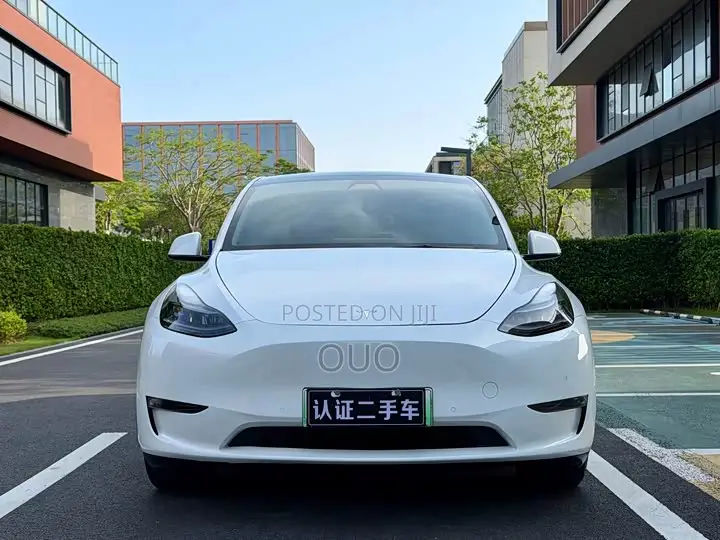 Tesla Model Y Standard Range RWD 2021 White