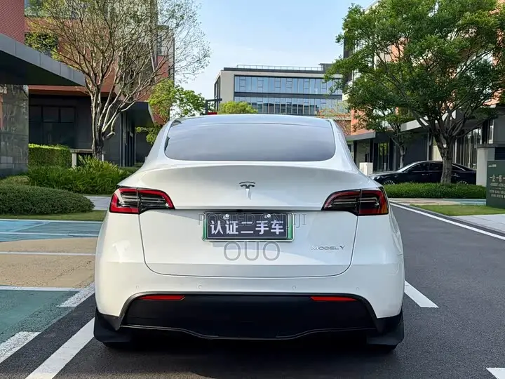 Tesla Model Y Standard Range RWD 2021 White