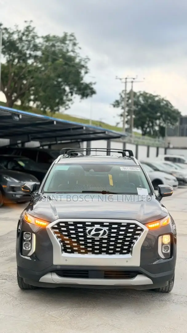 Hyundai Palisade 2020 Gray
