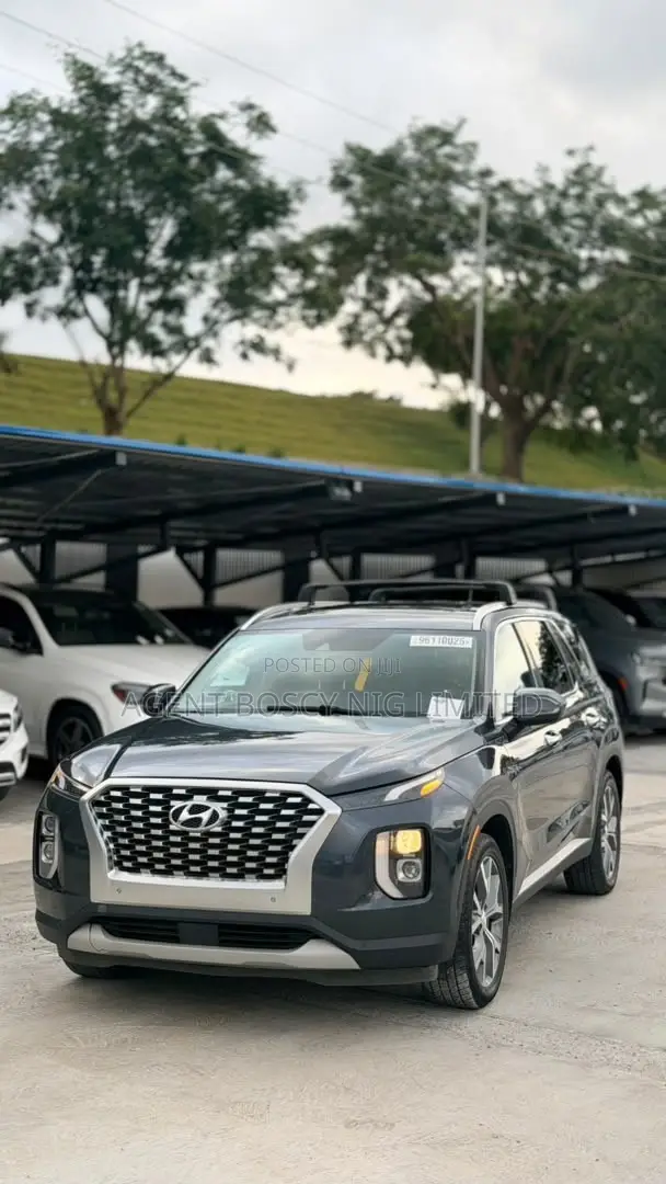 Hyundai Palisade 2020 Gray