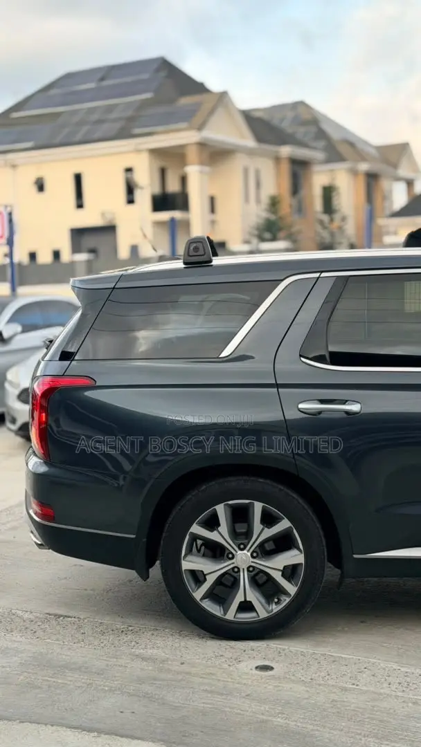Hyundai Palisade 2020 Gray