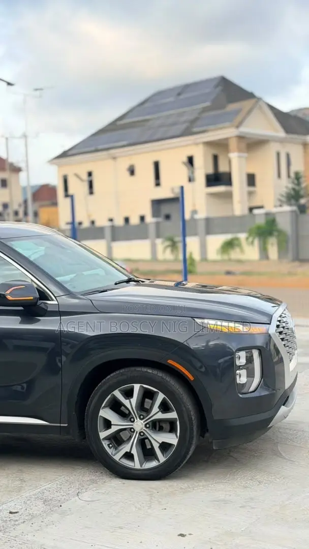 Hyundai Palisade 2020 Gray