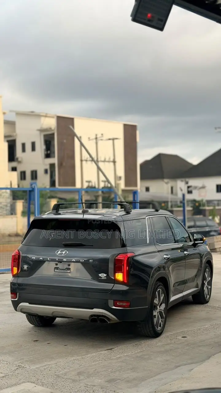 Hyundai Palisade 2020 Gray