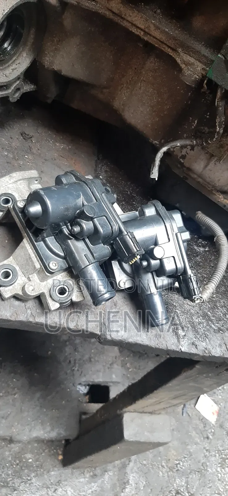 Secondary Air Injection Check Valve