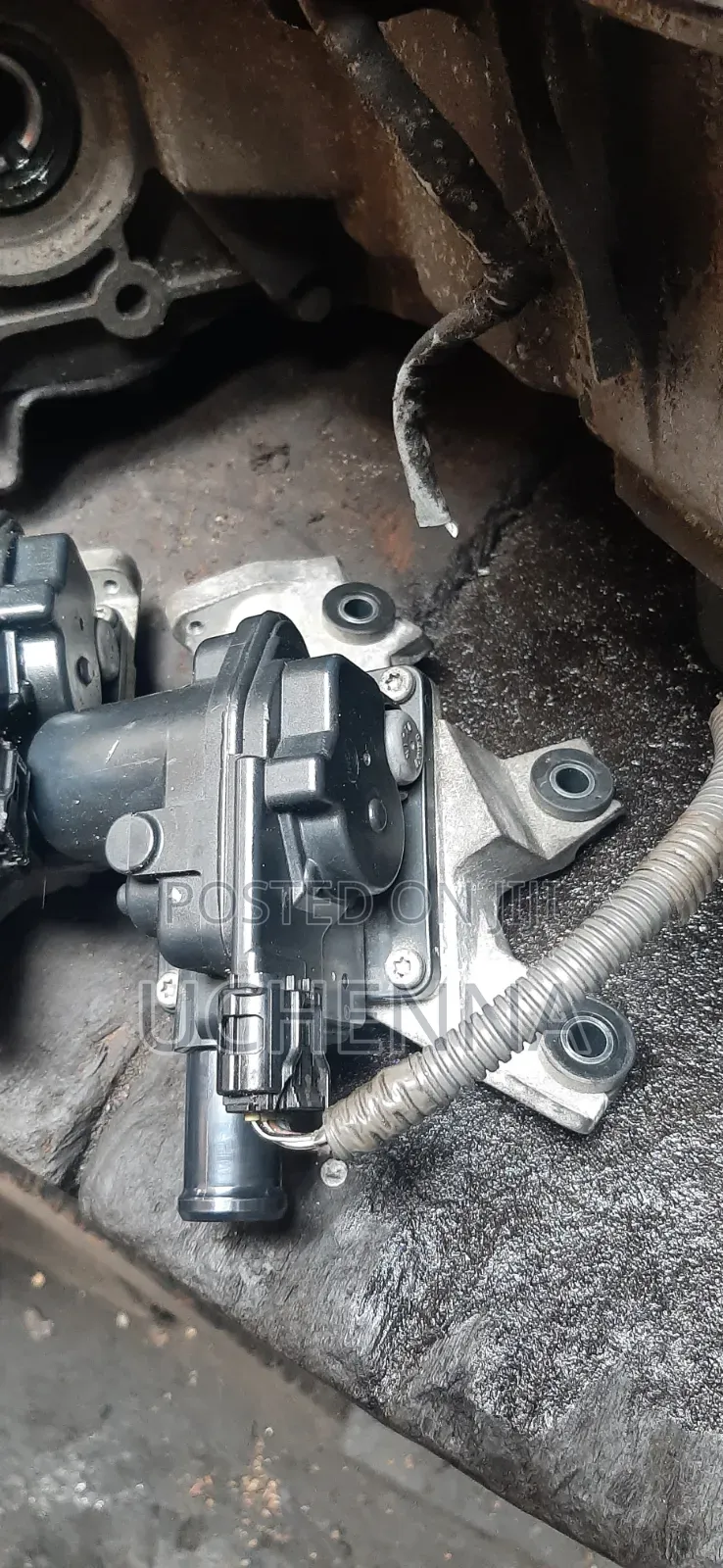 Secondary Air Injection Check Valve