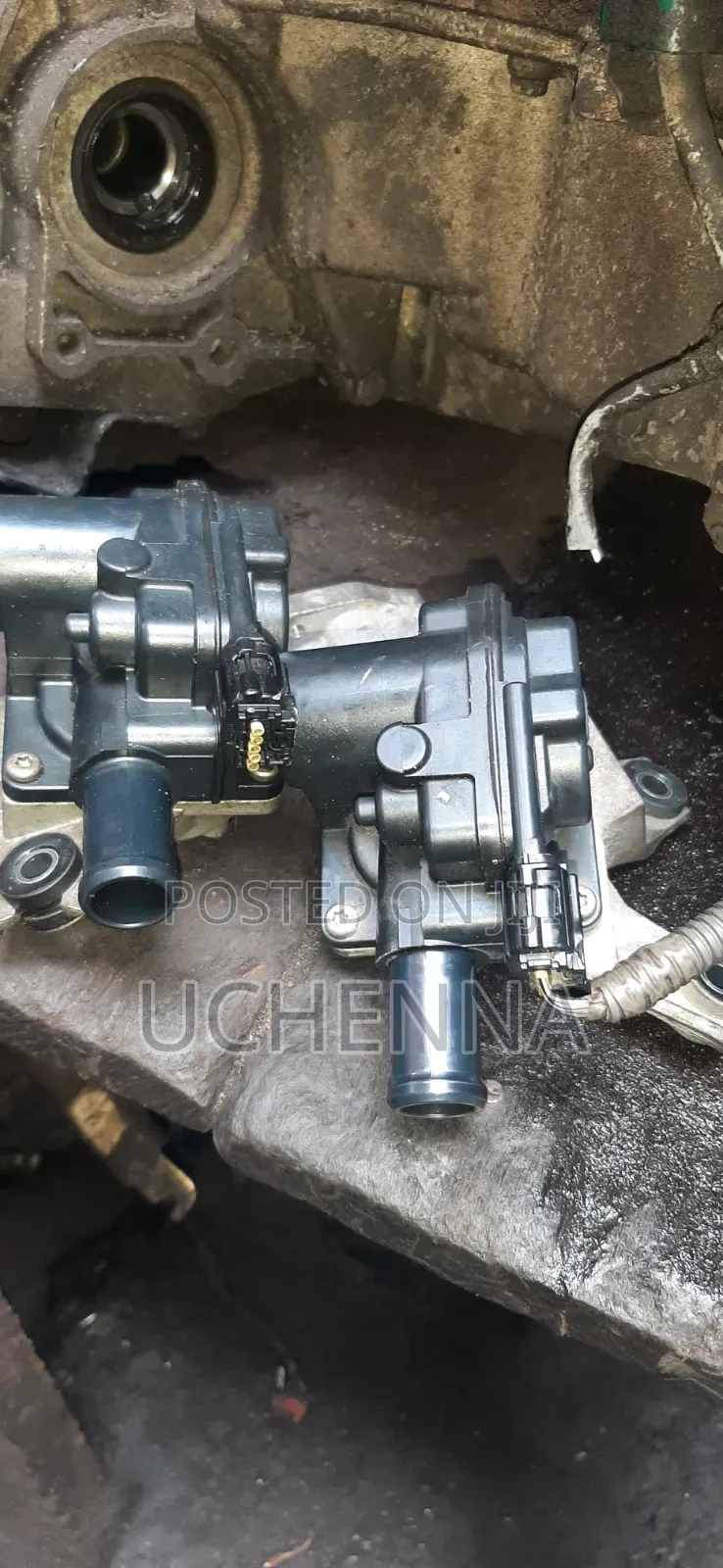 Secondary Air Injection Check Valve