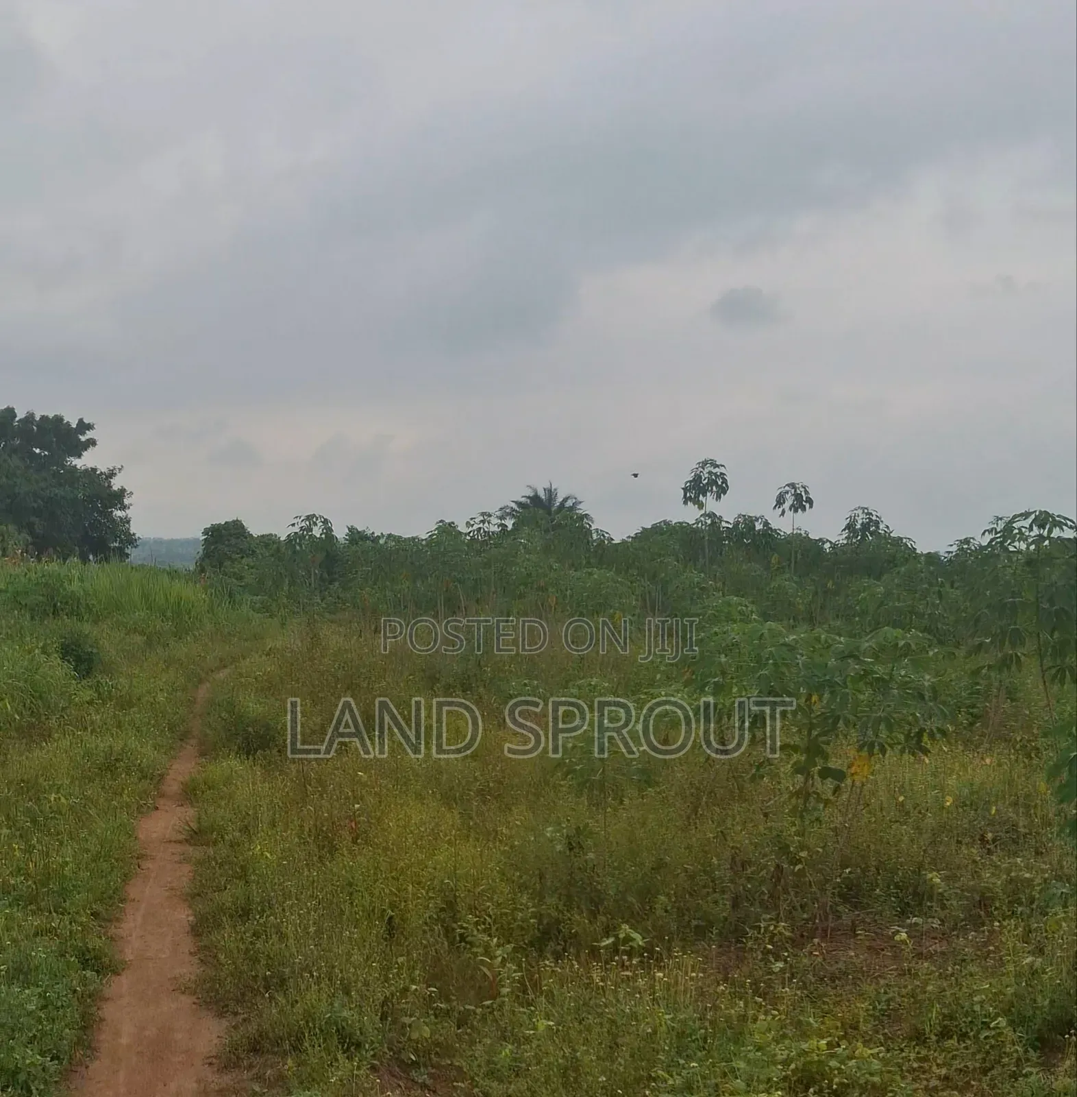 Per Acre Farmland for Sale at Aba-Imo, Ido, Ibadan