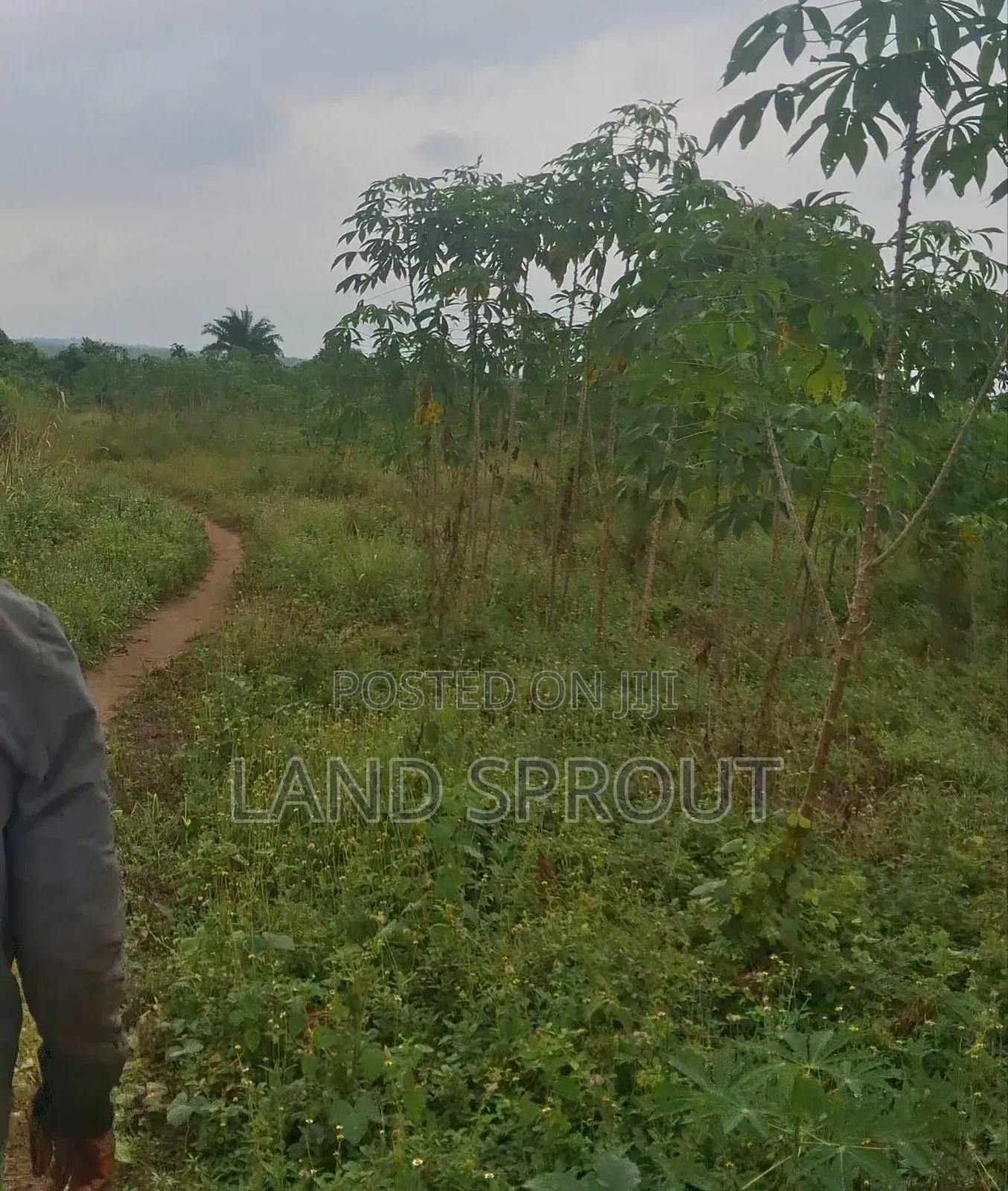 Per Acre Farmland for Sale at Aba-Imo, Ido, Ibadan