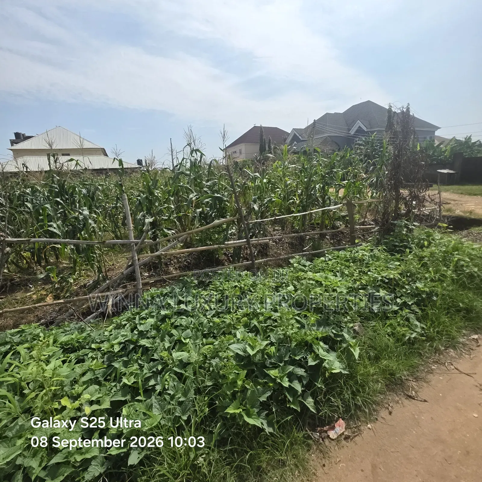 1000sqm FHA Land