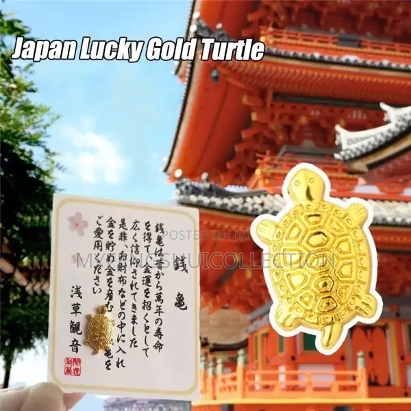Fortified Money Turtle for Wealth and Prosperity