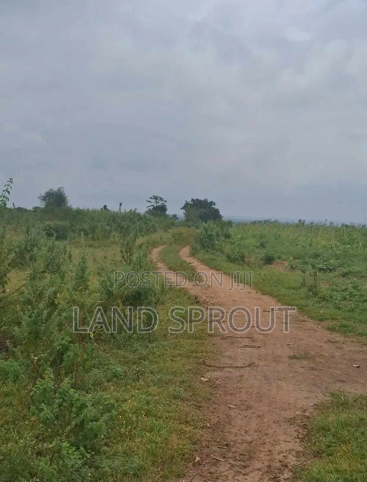 11 Acres Farmland at Onifufu, Ido, Ibadan