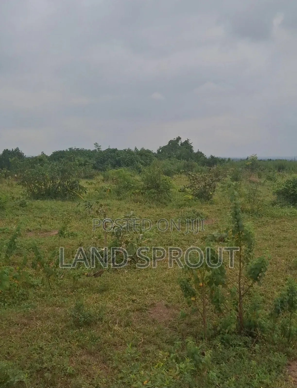 11 Acres Farmland at Onifufu, Ido, Ibadan