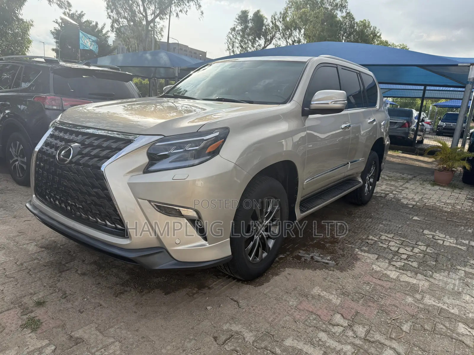 Lexus GX 2020 Gold