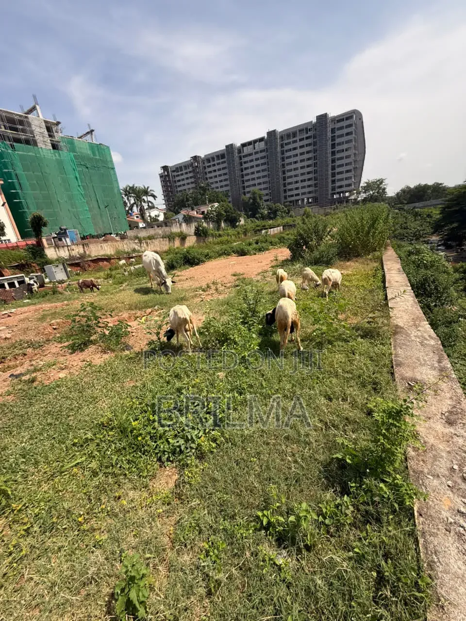 2432 SQM Residential Land in Maitama for Sale