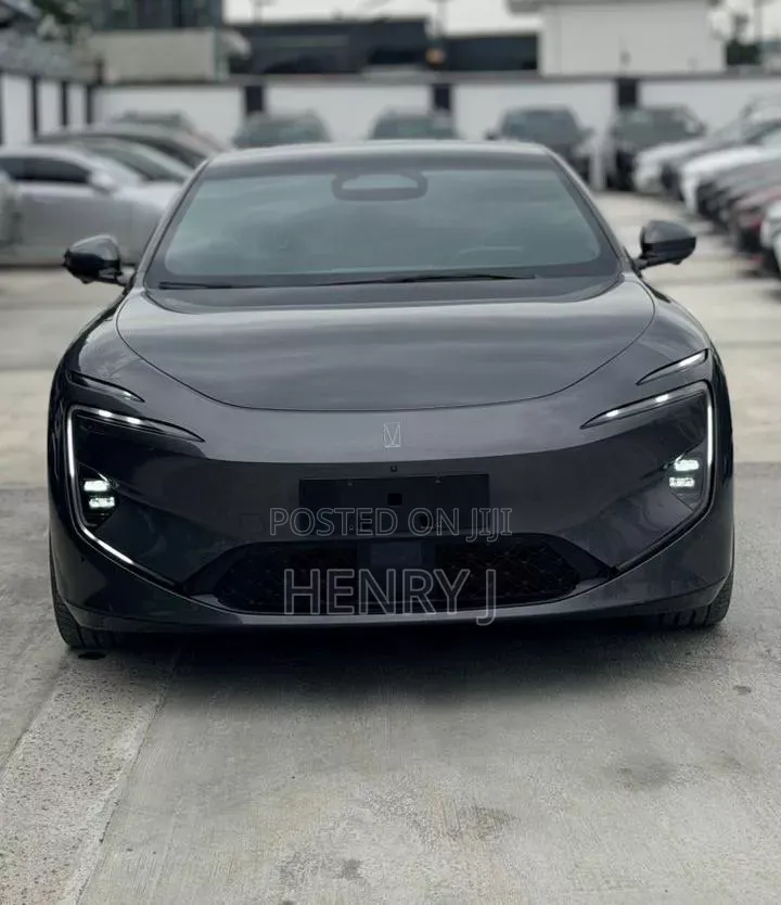 New Avatr 12 2025 Gray