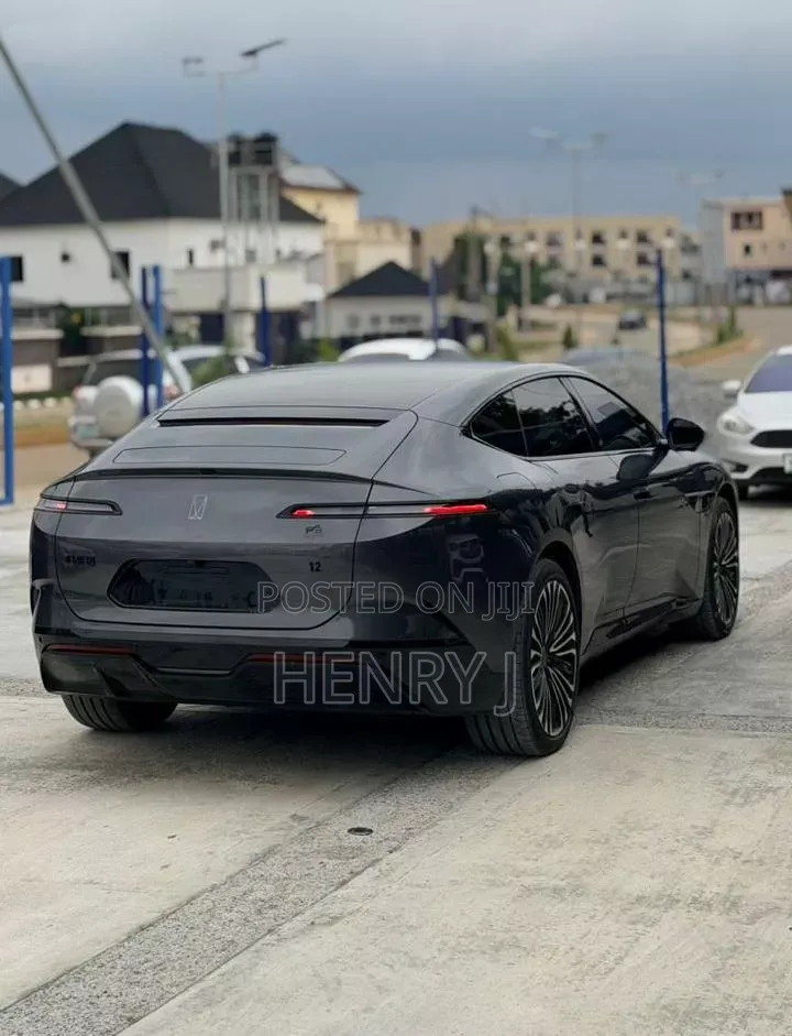 New Avatr 12 2025 Gray