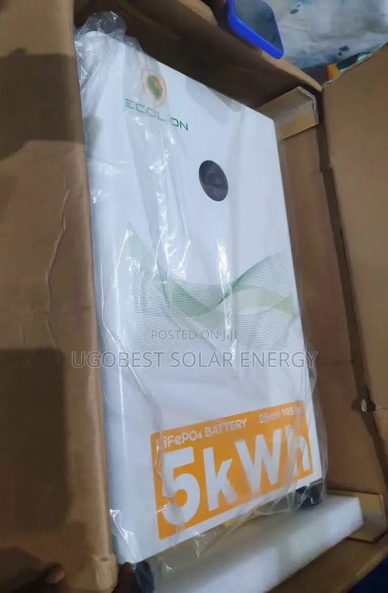 5kwh 24v Ecolion Lithium Ion Battery