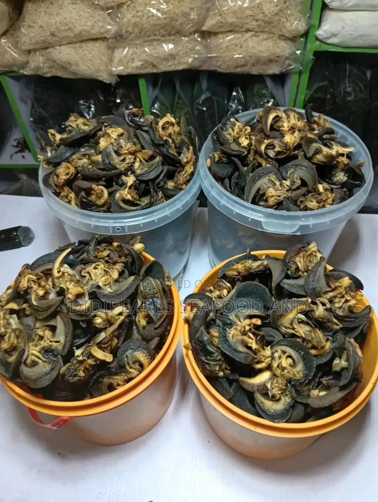 Export Standard Dried Snail