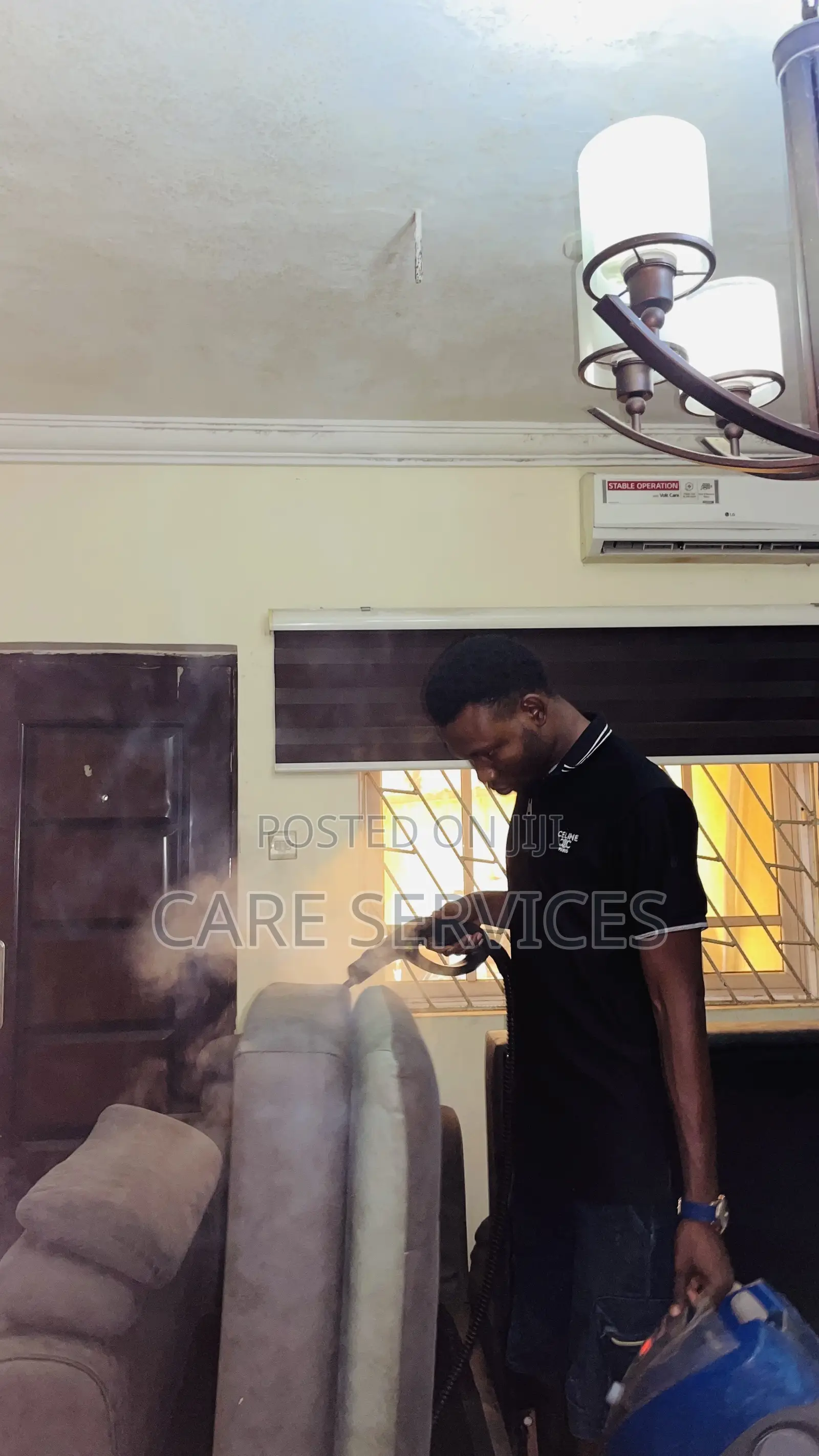 Cockroaches Bedbugs Pest Control and Fumigation