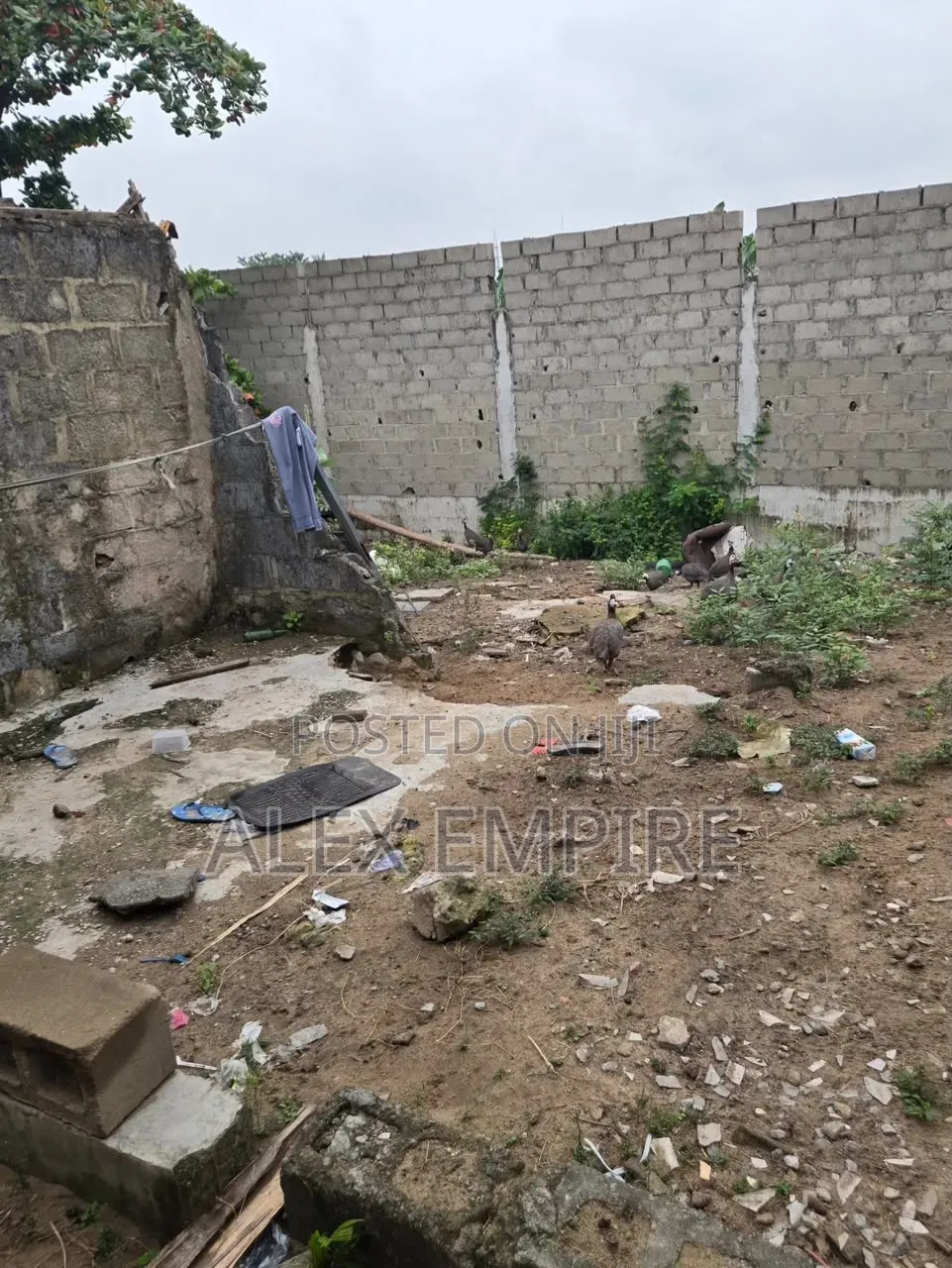 Land for Lease in Amuwo Odofin