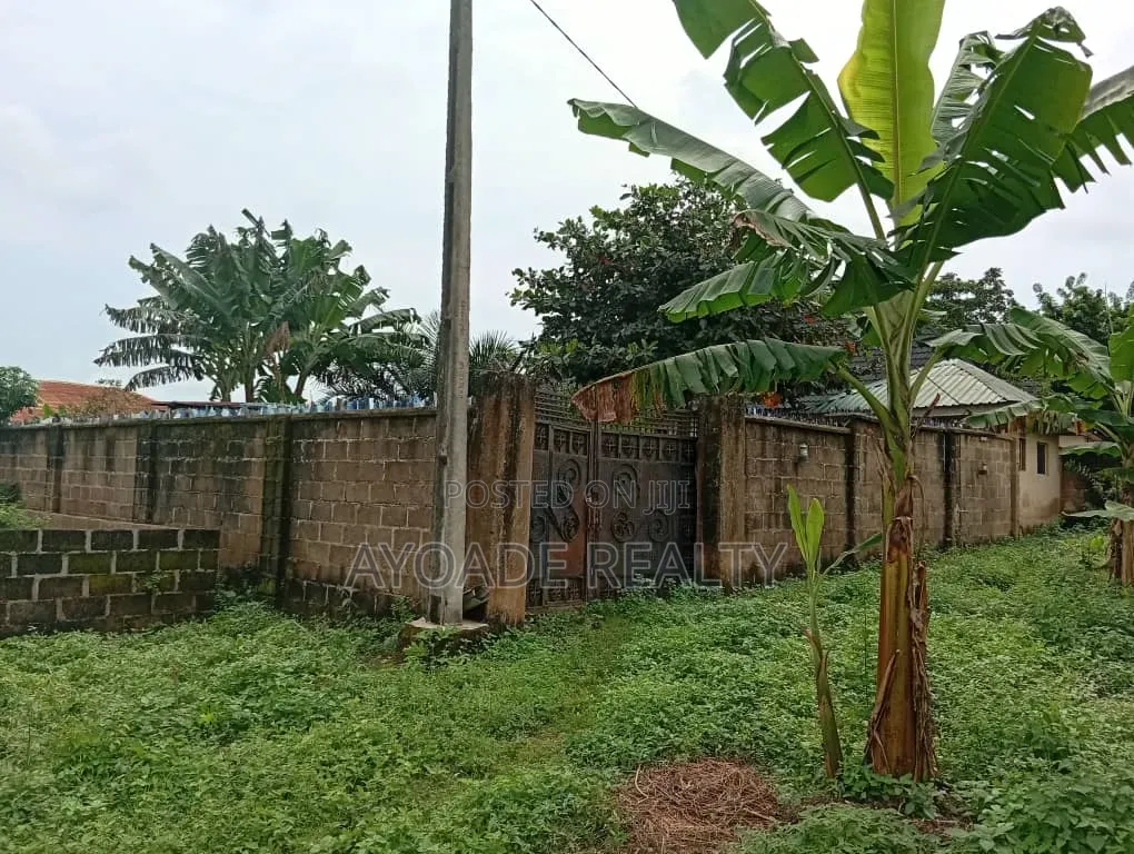 Fully Equipped Farm With Fish Ponds, Poultry More for Sale – Ibadan