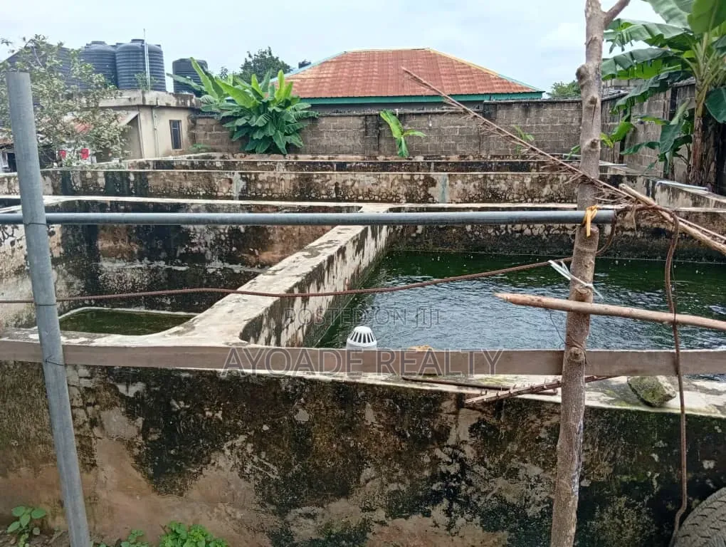 Fully Equipped Farm With Fish Ponds, Poultry More for Sale – Ibadan