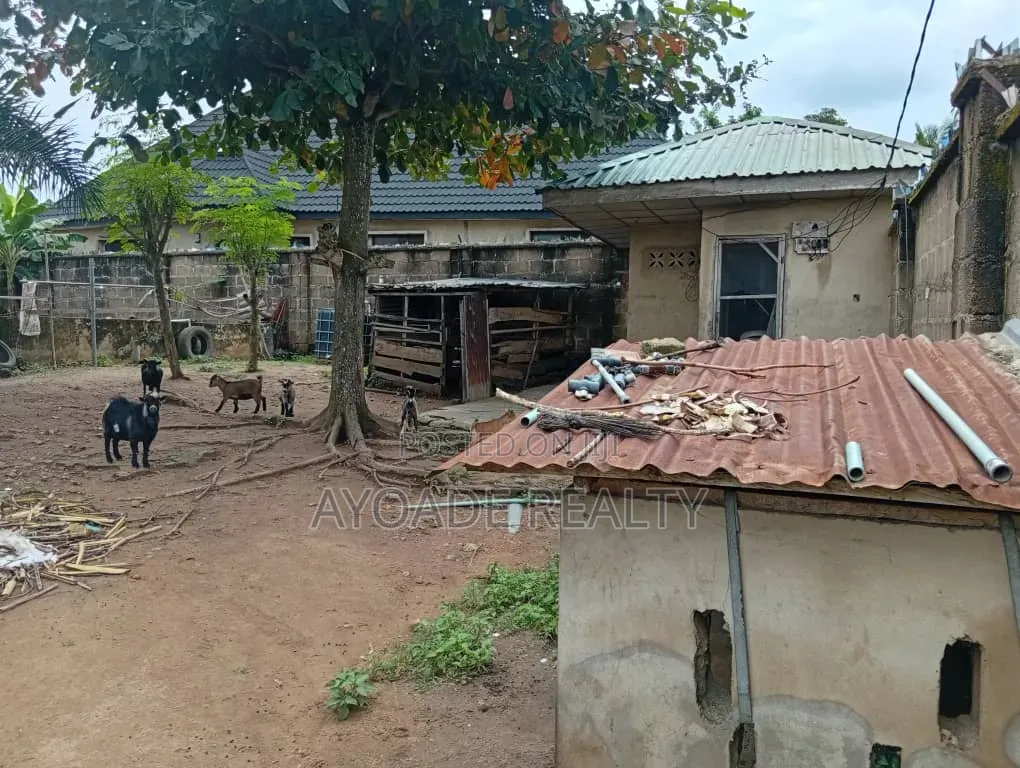 Fully Equipped Farm With Fish Ponds, Poultry More for Sale – Ibadan