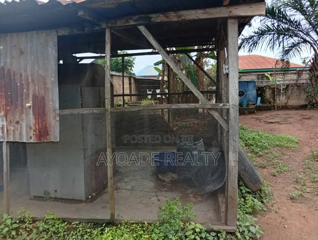 Fully Equipped Farm With Fish Ponds, Poultry More for Sale – Ibadan