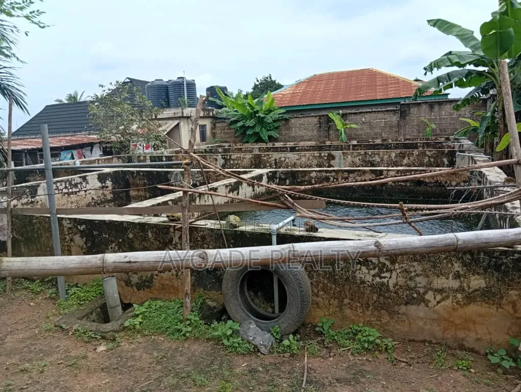 Fully Equipped Farm With Fish Ponds, Poultry More for Sale – Ibadan