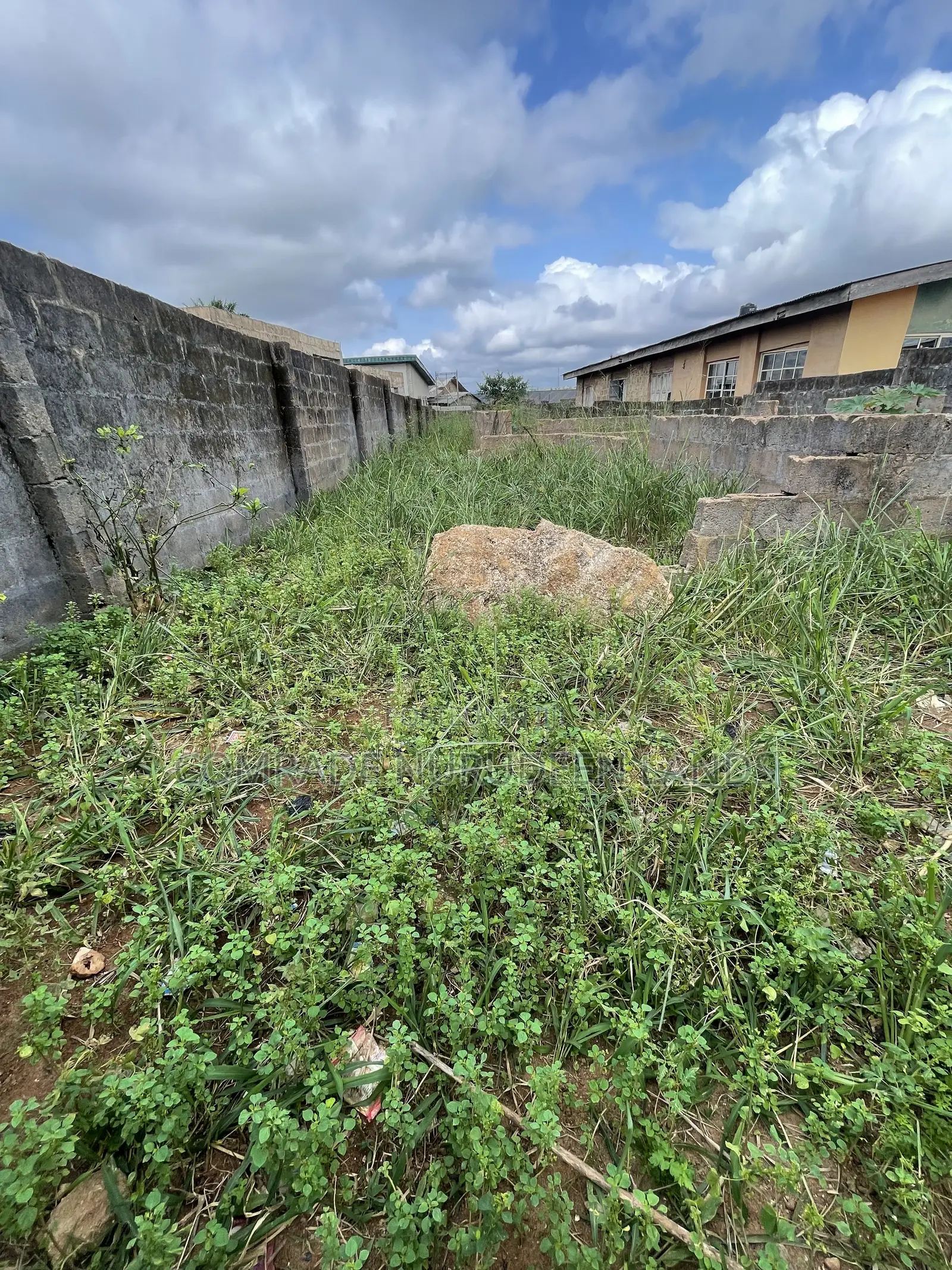 Half Plot of Land
