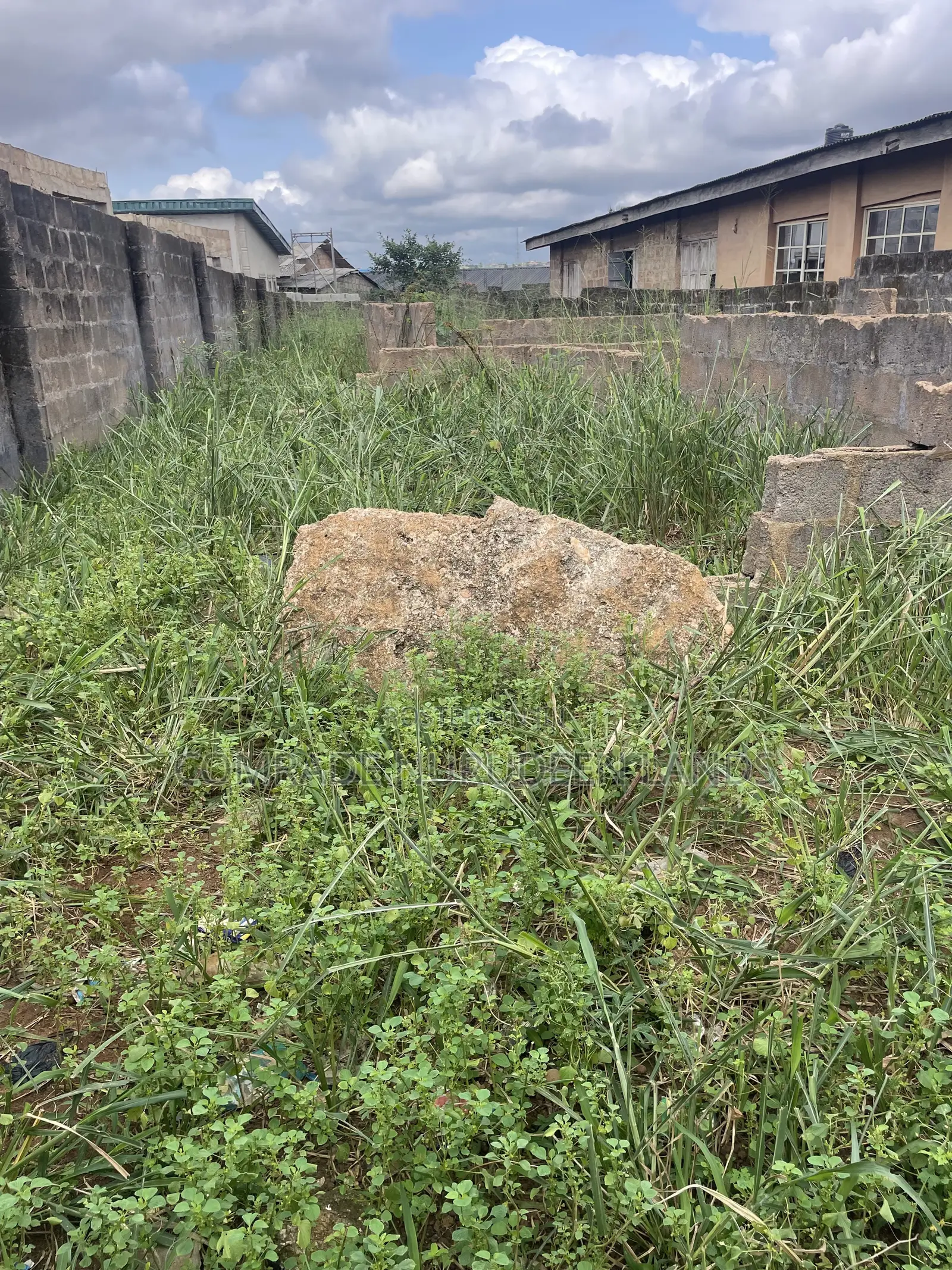 Half Plot of Land