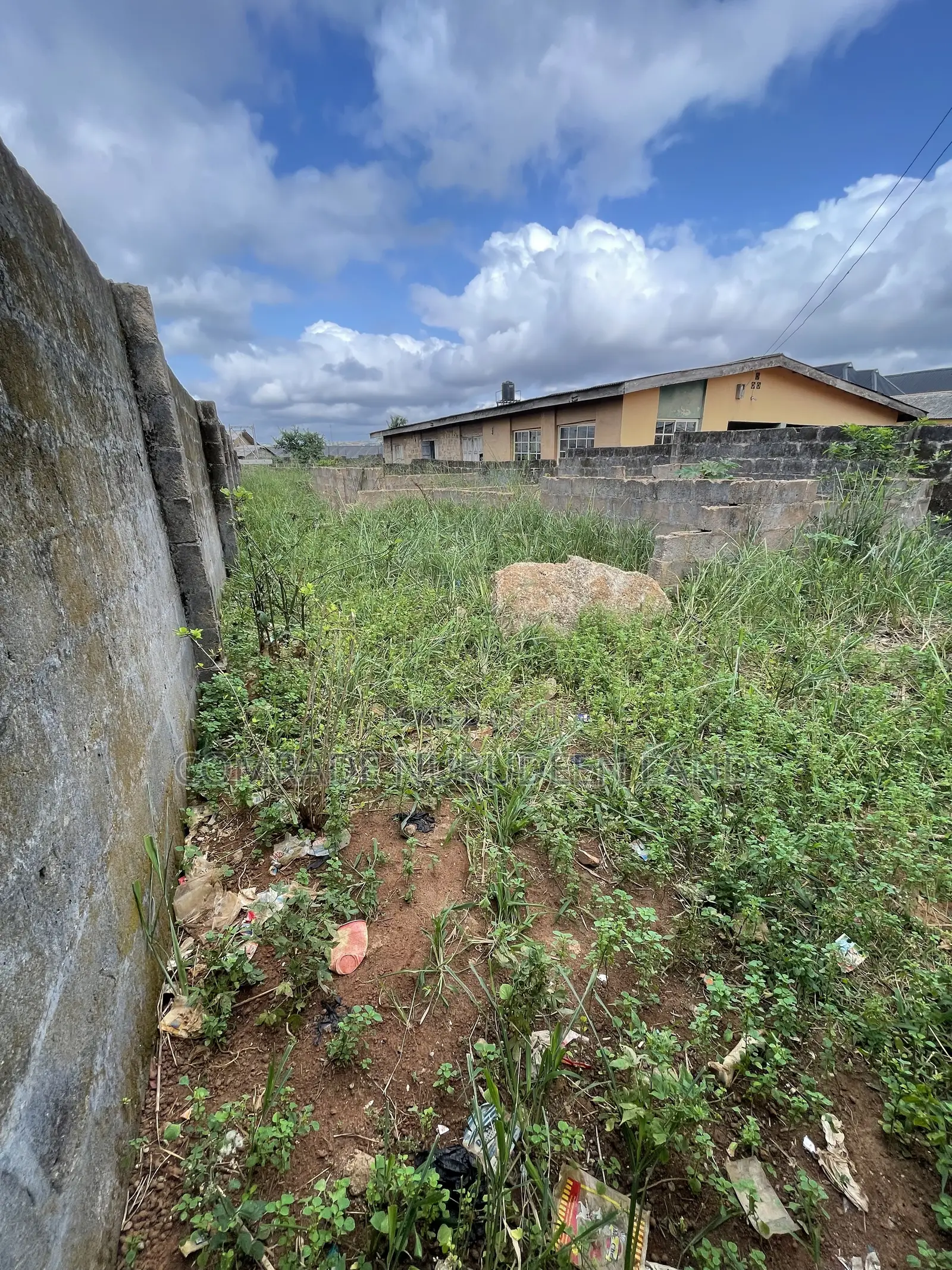 Half Plot of Land
