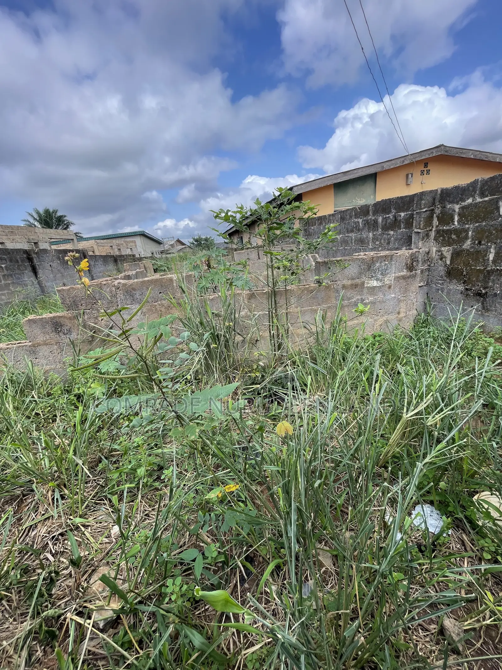 Half Plot of Land