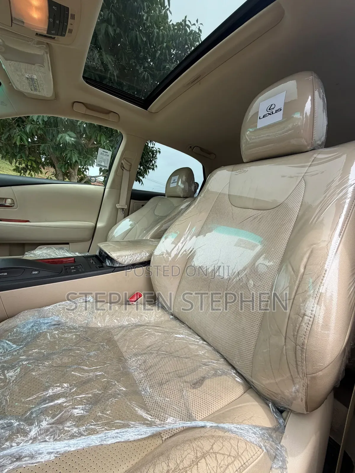 Lexus RX 2010 Gray