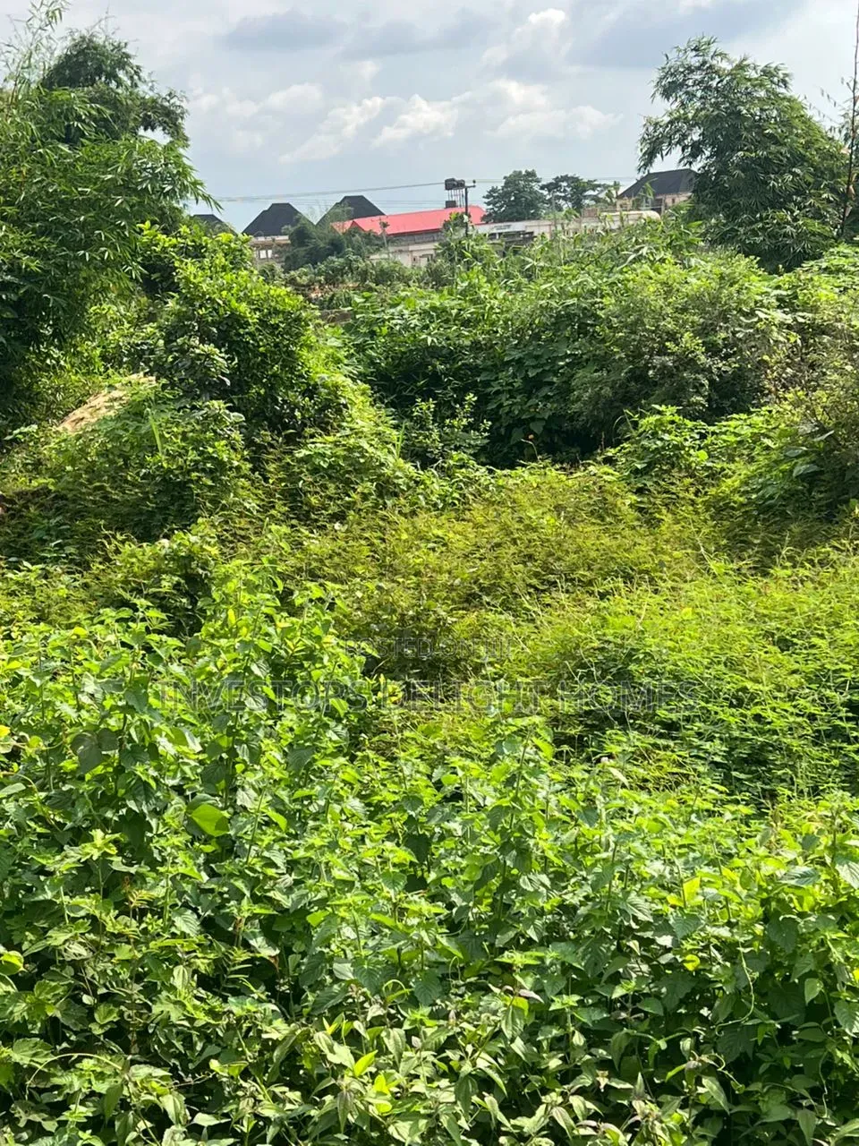 Commercial Land for Sale