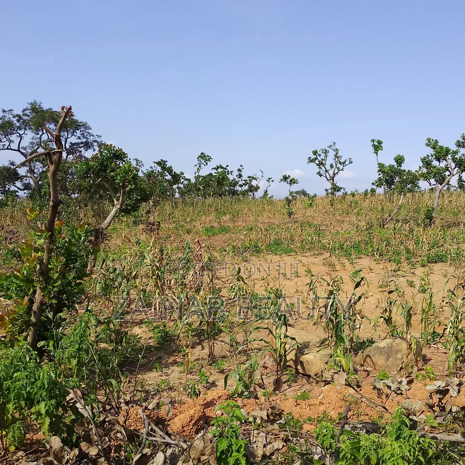 Prime Estate Land for Sale