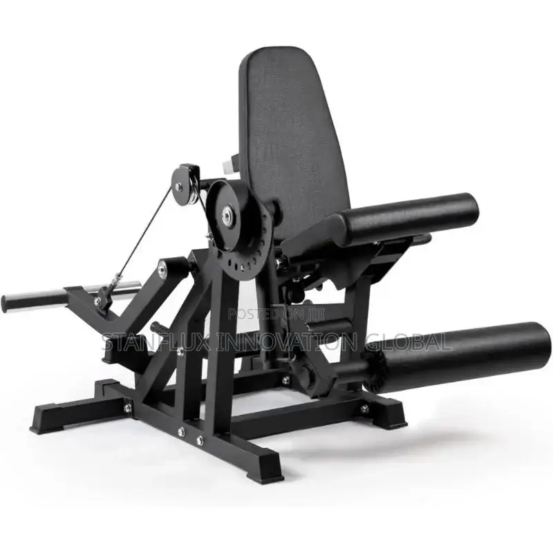 Leg Extension/Curl Machine