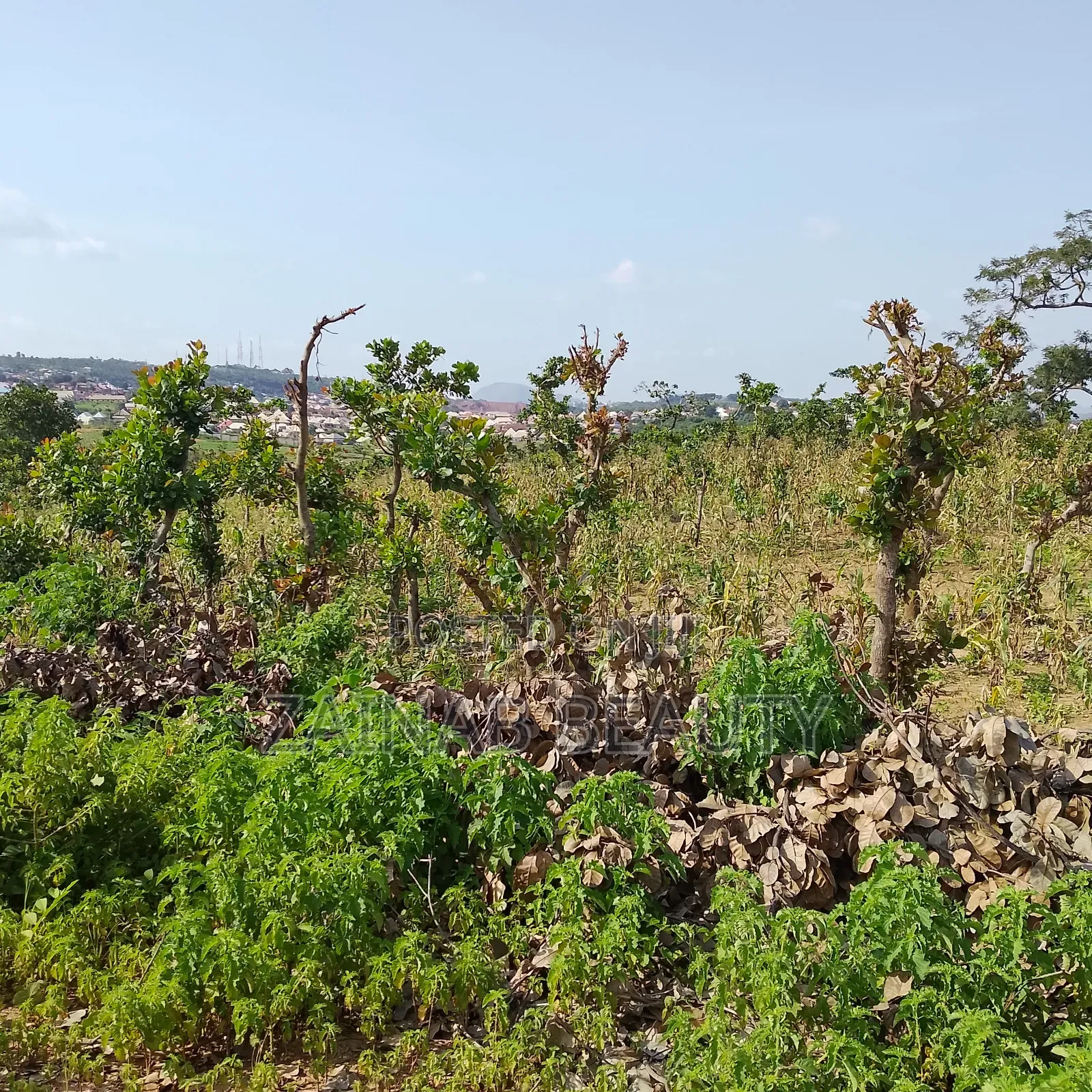 Spacious Residential Land for Sale